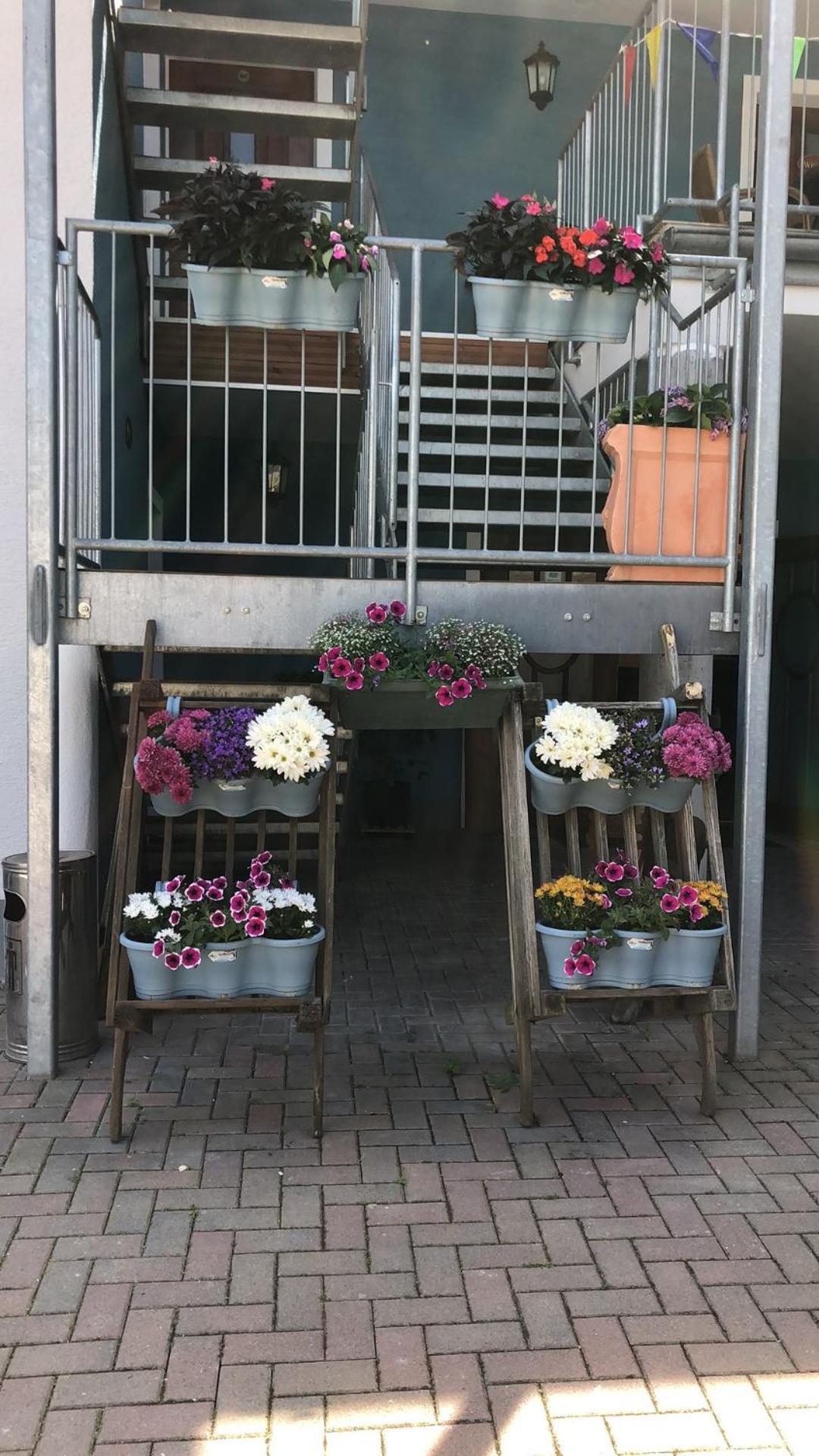 לורך אם ריין Rheinliebe Bistro Und Pension מראה חיצוני תמונה